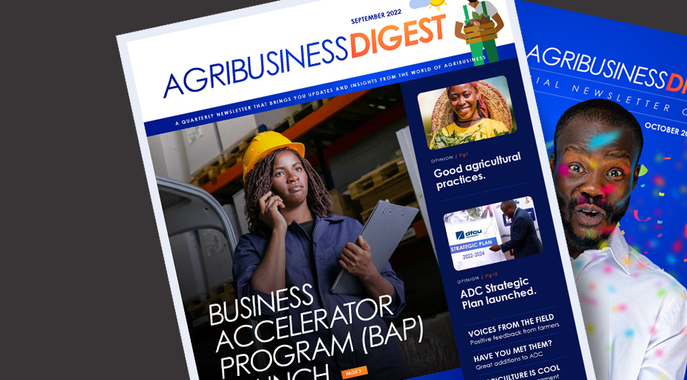 African farmer man looking tablet at his workplace near cows in