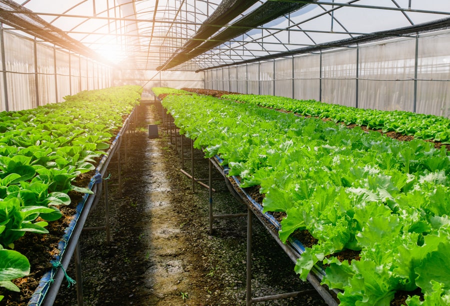 ADC_climate_smart_agro-2-min